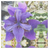 Brandeis Stoff (Nahaufnahme)