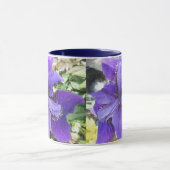 Brandeis Tasse (Zentrum)