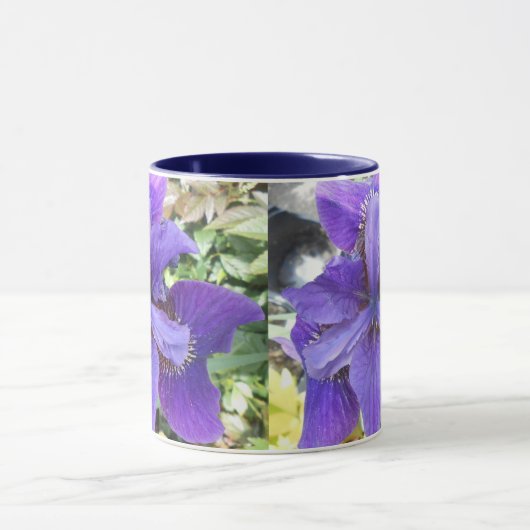 Brandeis Tasse (Zentrum)