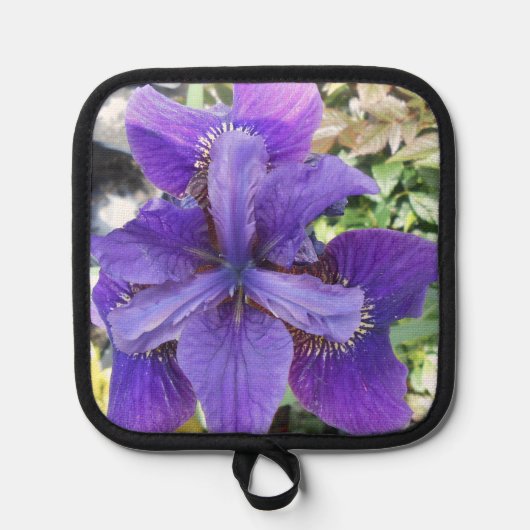 Brandeis Topflappen (Vorderseite)