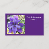 Brandeis Visitenkarte (Vorderseite)