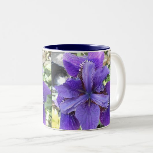 Brandeis Zweifarbige Tasse (VorderseiteRechts)