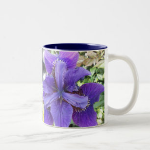 Brandeis Zweifarbige Tasse