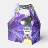 Brandels Geschenkschachtel (Rückseite)