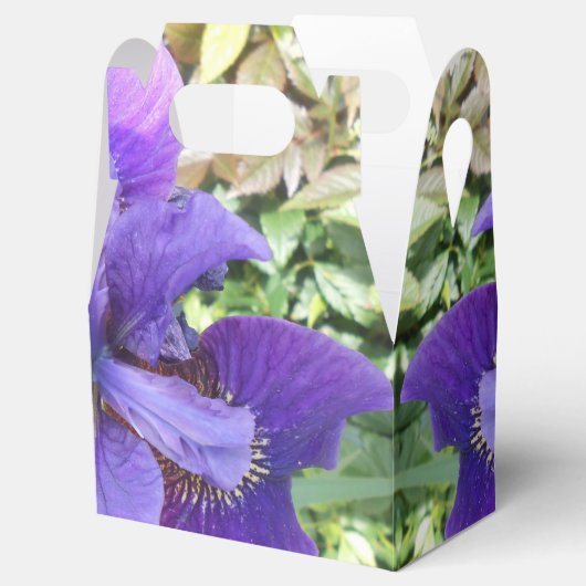 Brandels Geschenkschachtel (Geöffnet)