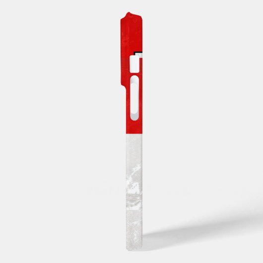 Brandenburg Case-Mate iPhone Hülle (Rückseite / Links)