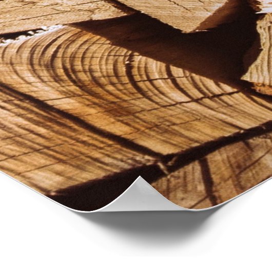 Brandholzpalette Poster (Ecke)