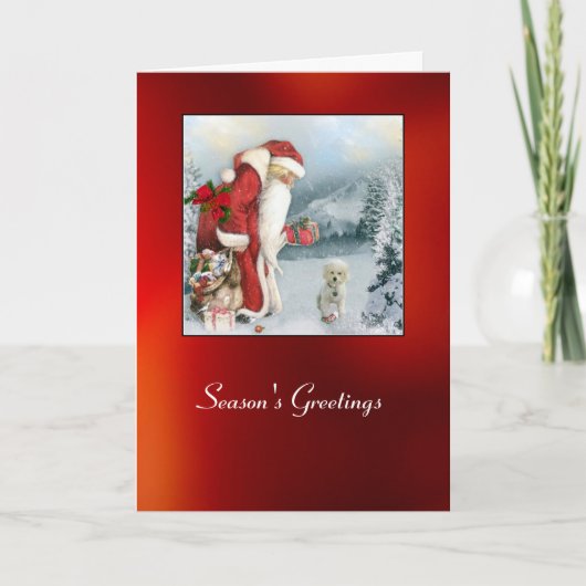 Brandi zu Weihnachten (Vorderseite)