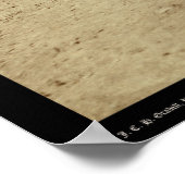 Branding Calves auf Roundup SD 1888 Poster (Ecke)