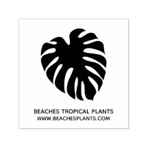 Branding für tropische Monstera-Leaf-Logo