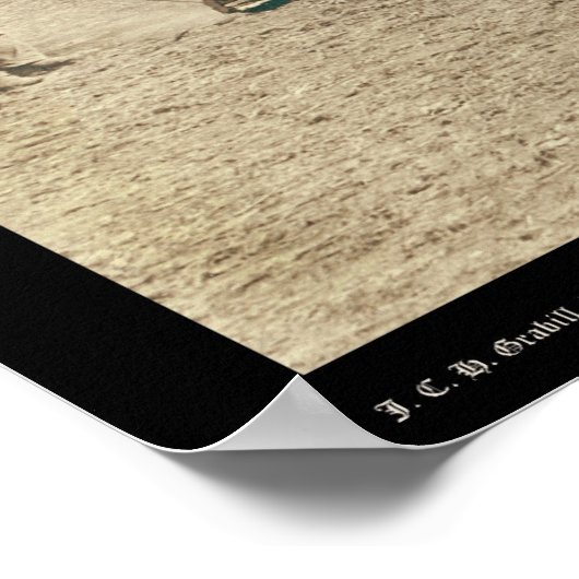 Branding Rinder SD 1891 Poster (Ecke)