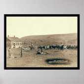 Branding Rinder SD 1891 Poster (Vorne)