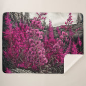 Brandkraut 7 sherpadecke (Vorderseite (Horizontal))