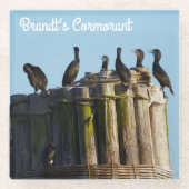 Brandts Kormorant Glasuntersetzer (Vorderseite)