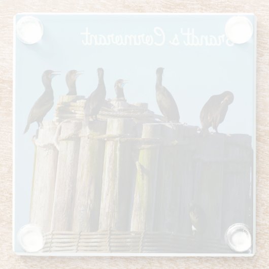 Brandts Kormorant Glasuntersetzer (Rückseite)