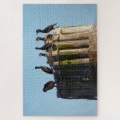 Brandts Kormorant Puzzle (Vertikal)