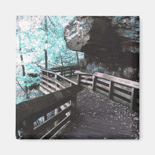 Brandywein-Fußwandmagnet Magnet (Vorne)