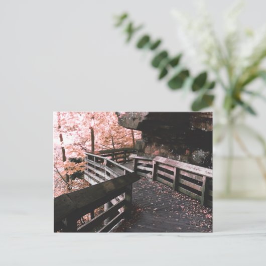 Brandywein Postkarte (Stehend Vorderseite)