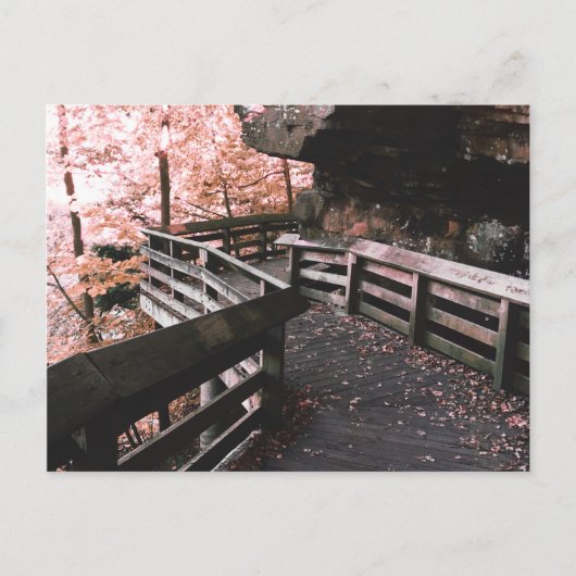 Brandywein Postkarte (Vorderseite)