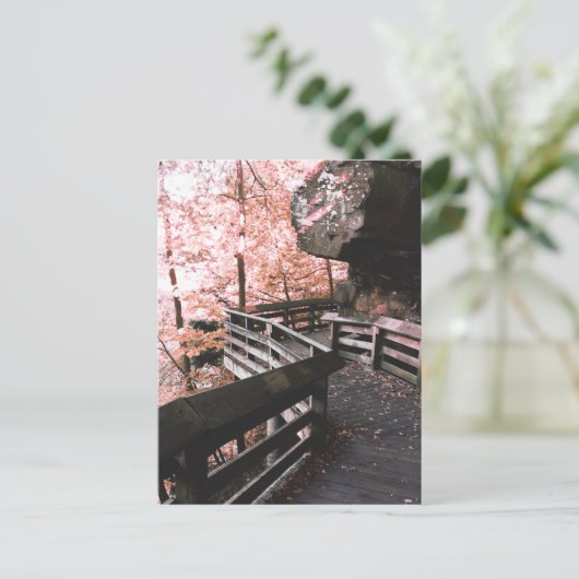 Brandywein Postkarte (Stehend Vorderseite)