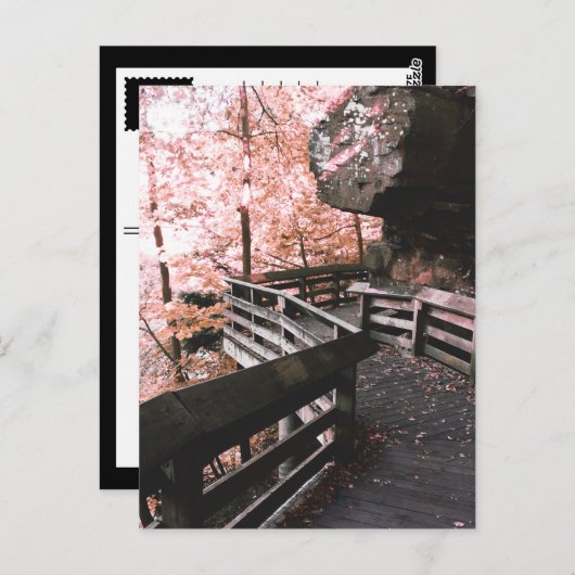 Brandywein Postkarte (Vorne/Hinten)