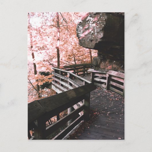 Brandywein Postkarte (Vorderseite)