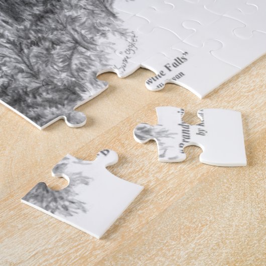 Brandywine Falls (CVNP) Puzzle (Seite)