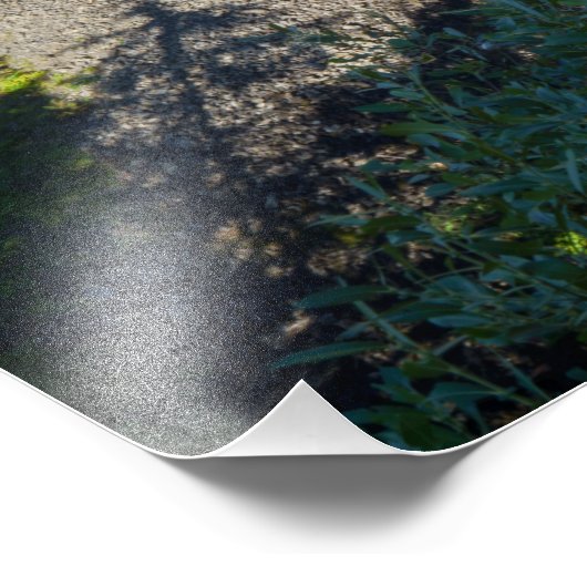 Brandywine Falls Fotodruck (Ecke)