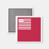 Brandywine-Flagge Magnet (Vorderseite/Rückseite)