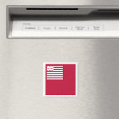 Brandywine-Flagge Magnet (In Situ (Geschirrspüler))