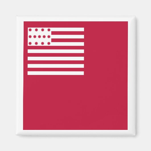 Brandywine-Flagge Magnet (Vorne)