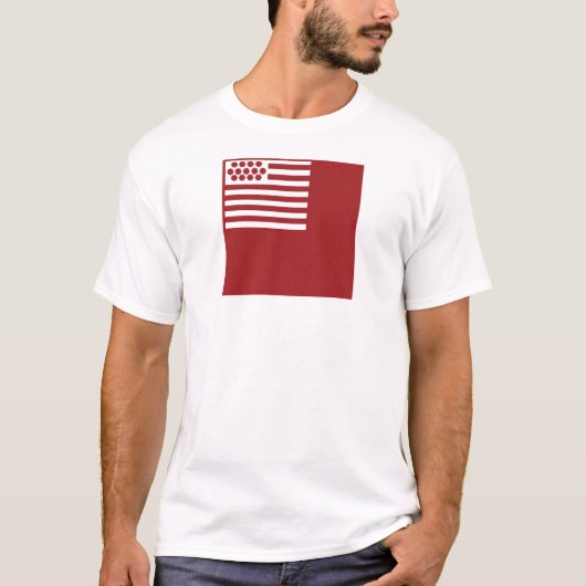 Brandywine Flagge T-Shirt (Vorderseite)