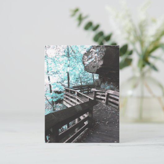 Brandywine Postkarte (Stehend Vorderseite)