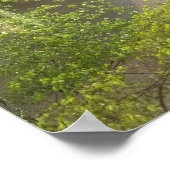 Brandywine River Foto Poster (Ecke)