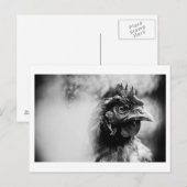 Branntwein und Hühner 2 Postkarte (Vorne/Hinten)