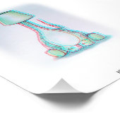 Branquiosaurus Fotodruck (Ecke)