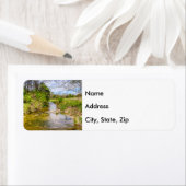 Branson Fall Creek Stream (Insitu)