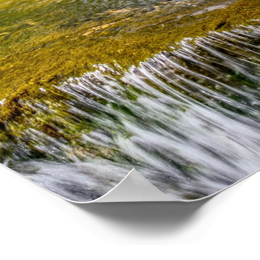 Branson Fall Creek Stream Poster (Ecke)