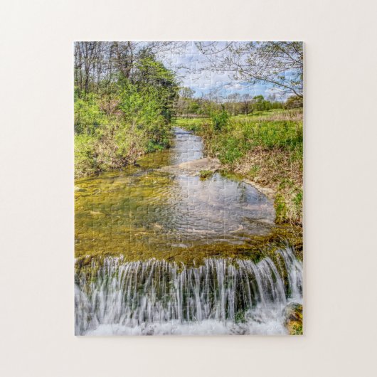 Branson Fall Creek Stream Puzzle (Vertikal)