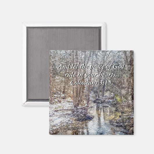 Branson Fall Creek Winter Snow Painterly Magnet (Vorderseite/Rückseite)