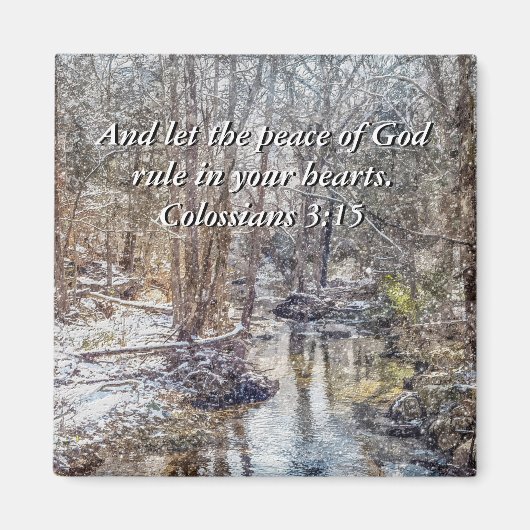 Branson Fall Creek Winter Snow Painterly Magnet (Vorne)