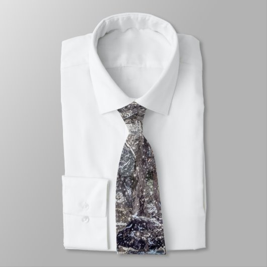 Branson Fall Creek Winter Snow Painterly Neck Tie Krawatte (Gebunden)