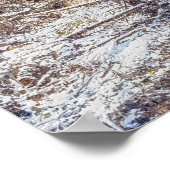 Branson Fall Creek Winter Snow Painterly Poster (Ecke)