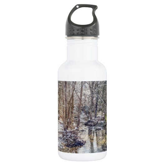 Branson Fall Creek Winter Snow Painterly Stainless Edelstahlflasche (Vorderseite)