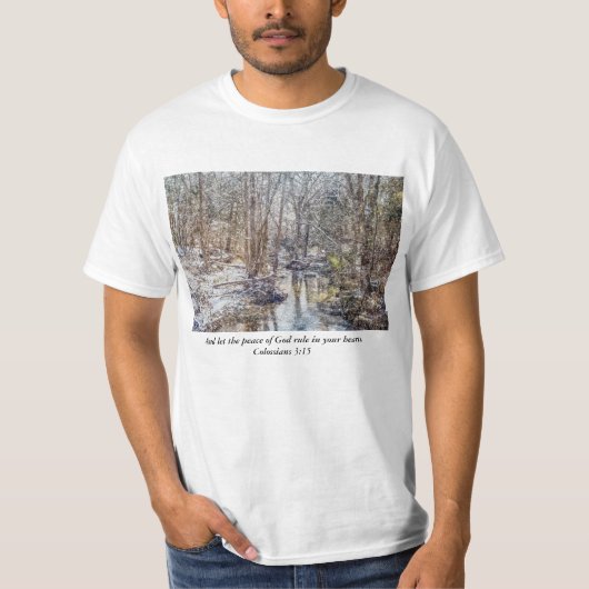Branson Fall Creek Winter Snow Painterly T-Shirt (Vorderseite)