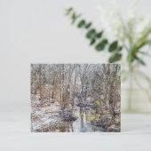 Branson Fall Creek Winterschnee Herzlichen Dank Postkarte (Stehend Vorderseite)