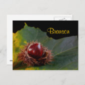 Branson Missouri, Herbstleaf mit Nut Postcard Postkarte (Vorne/Hinten)