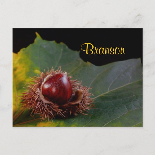 Branson Missouri, Herbstleaf mit Nut Postcard Postkarte (Vorderseite)