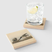 Brant Gänse (Brant) von Audubon Birds of America Steinuntersetzer (Seitenansicht)