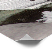 Brant Goose Photo Poster (Ecke)